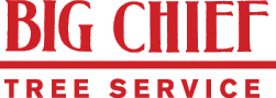 Big Chief Tree Service